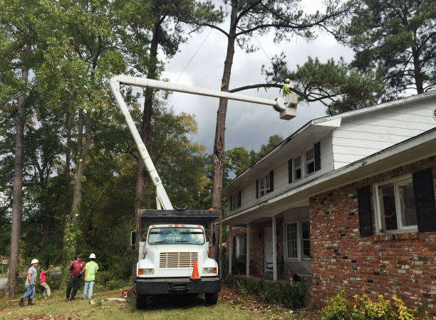 Best Grass Overseeding  in Cypress Landing, NC